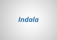 Идентификаторы Indala